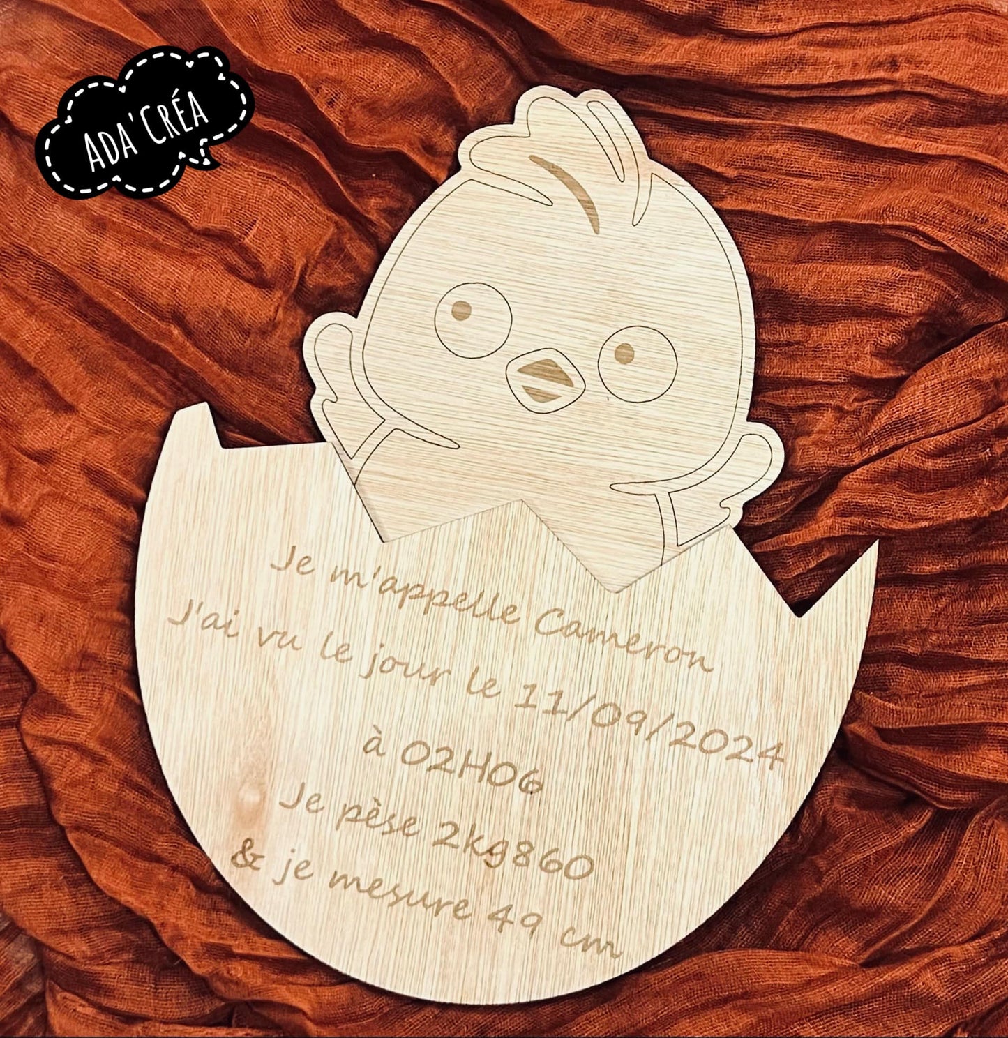 Plaque annonce de naissance à thème