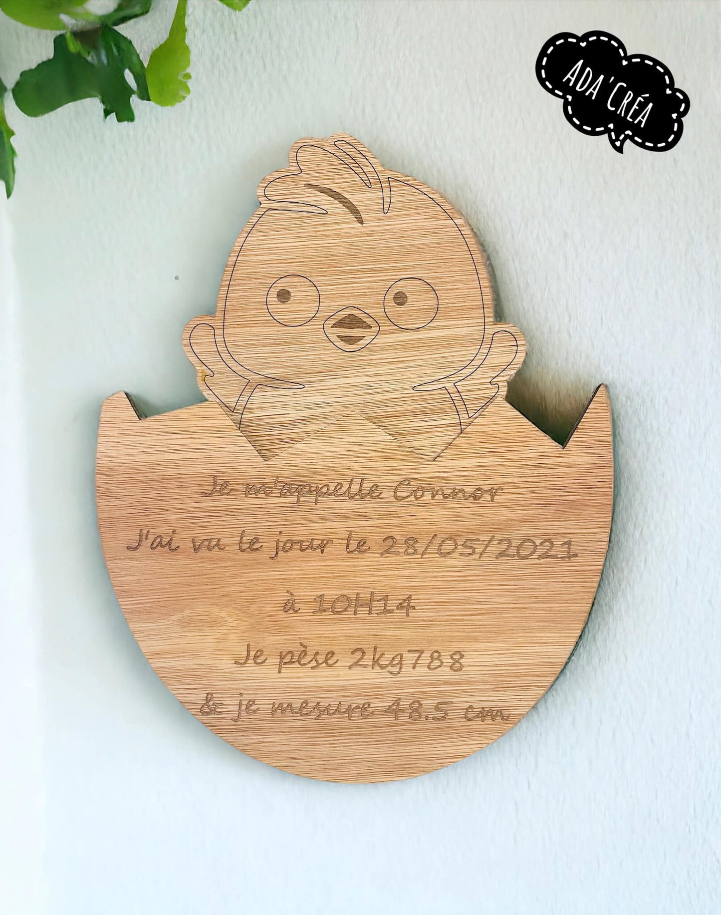 Plaque annonce de naissance à thème